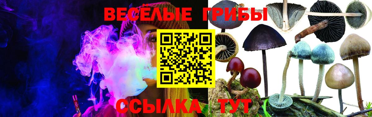 Псилоцибиновые грибы мухоморы  Вход с VPN  Галлюциногенные грибы ЛСД  Дзержинск 